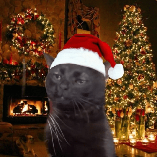 Natal & gatinhos ♥️ 11
