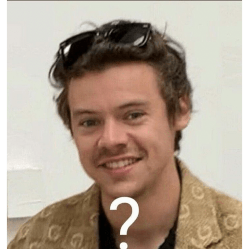 Harry styles 29