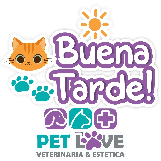 PET LOVE FRASES 13