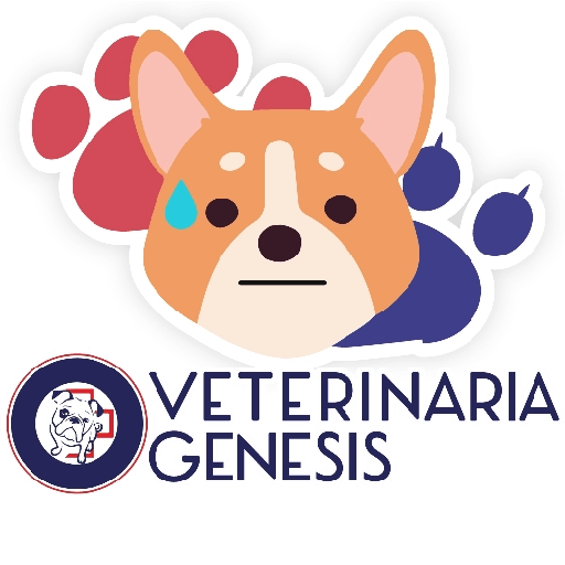 Vet Génesis emojis  16