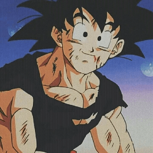 Son Goku 22 20