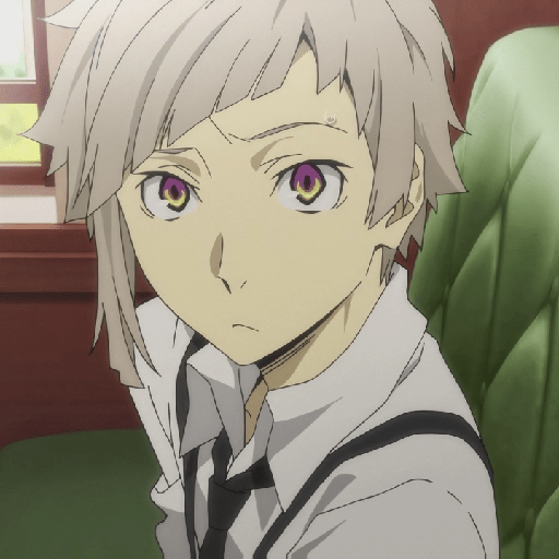 Bungou stray Dogs 13