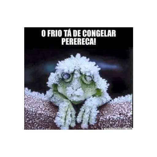 FRIOLENTO 7