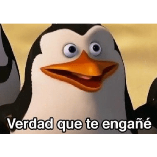 🐧Madagascar 🐧 17