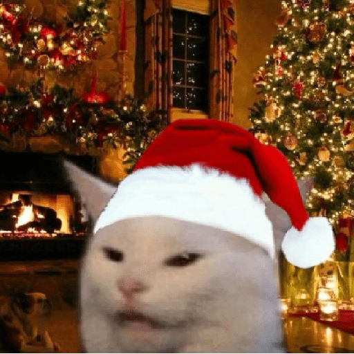 Natal & gatinhos ♥️ 6