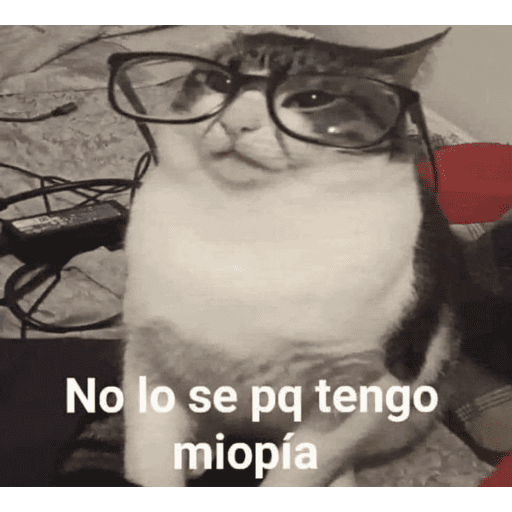 A lo randomm 🙂🤣 3