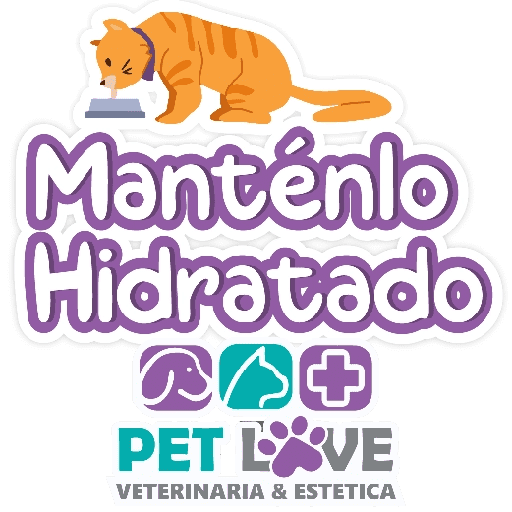 PET LOVE FRASES 10