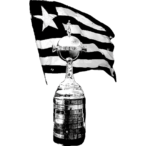 BOTAFOGO 3 28