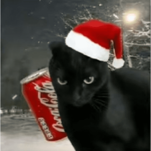 Natal & gatinhos ♥️ 5