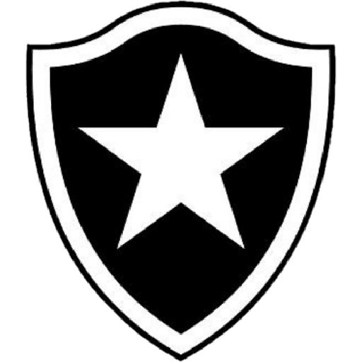 BOTAFOGO 3 22