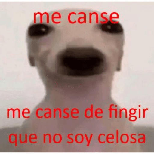 A lo randomm 🙂🤣 2