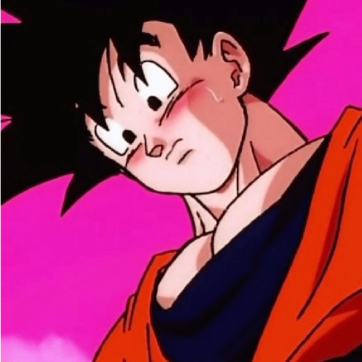 Son Goku 22 22
