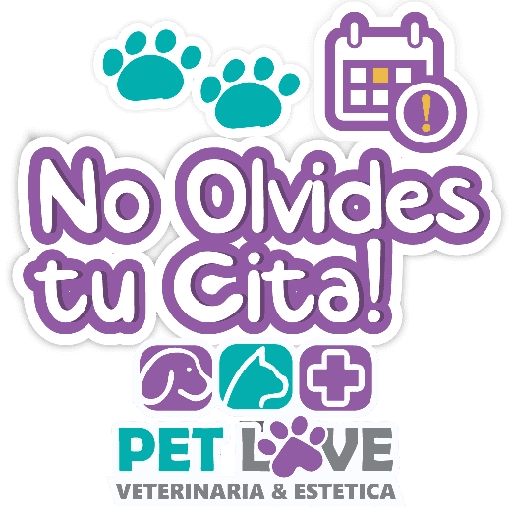 PET LOVE FRASES 7