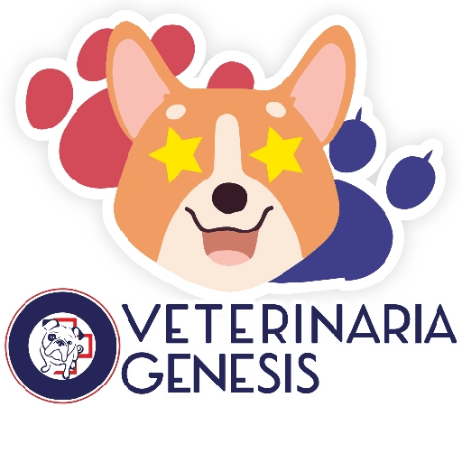 Vet Génesis emojis  1