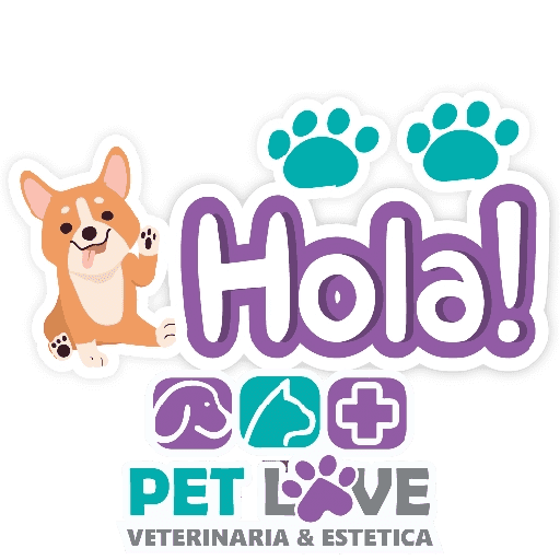PET LOVE FRASES 2