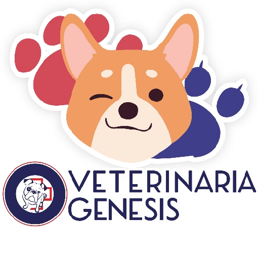 Vet Génesis emojis  4