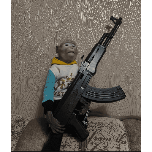 Monkey c 16