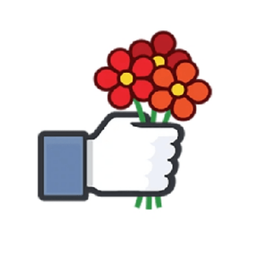 Facebook likes 4