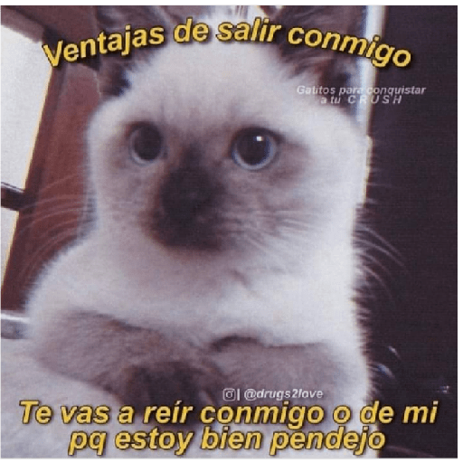 Michis 1