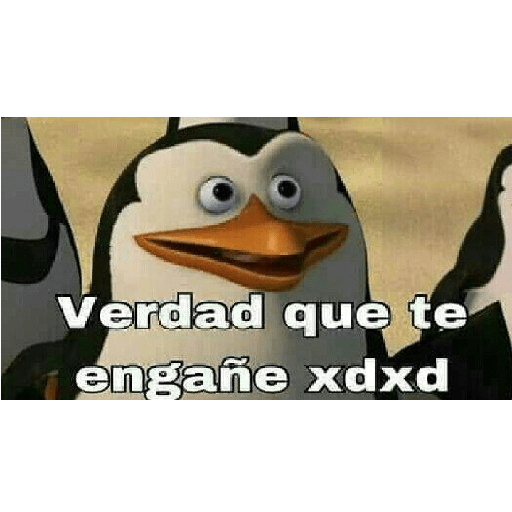 Jeje 24