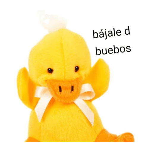 Xddddd 6