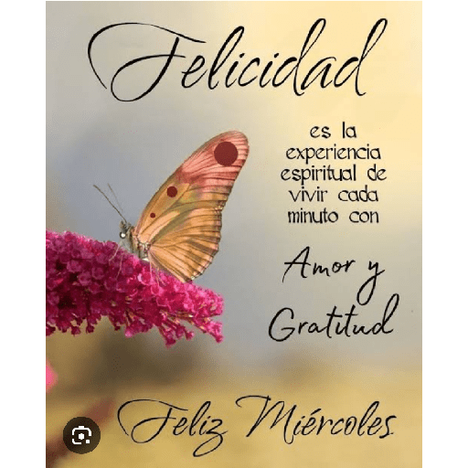 Feliz miercoles 27