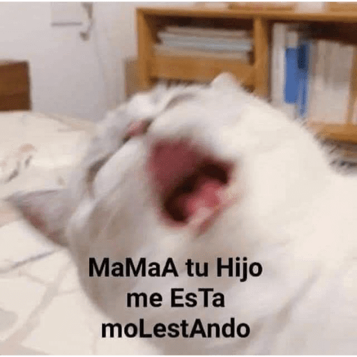 A lo randomm 🙂🤣 4
