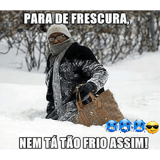 FRIOLENTO 14