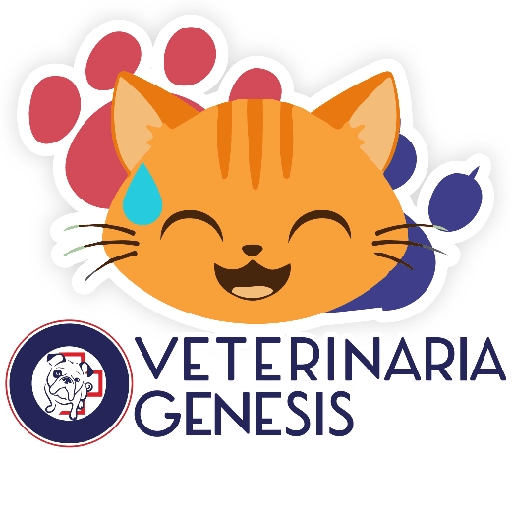 Vet Génesis emojis  11