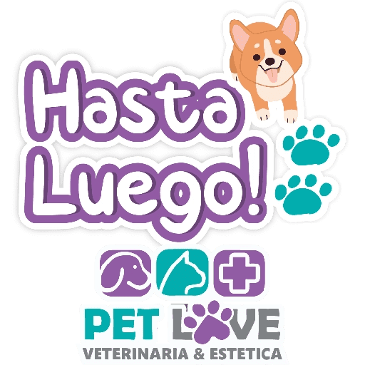 PET LOVE FRASES 21