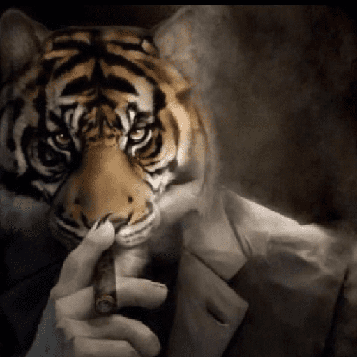 Tigre 4