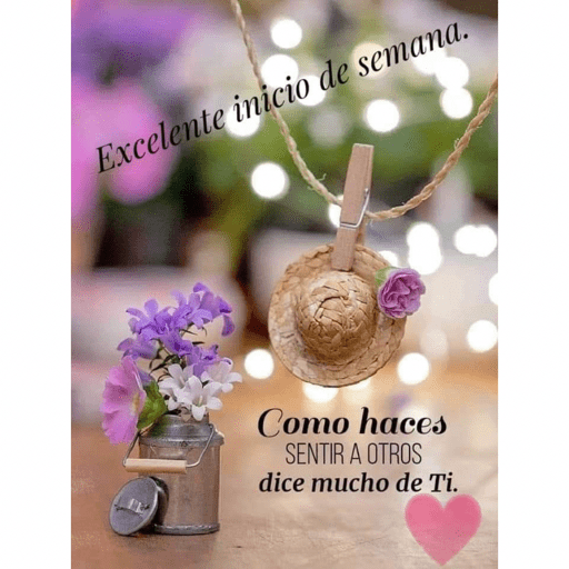 Lunes 15