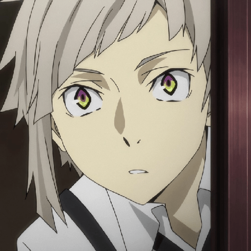 Bungou stray Dogs 14