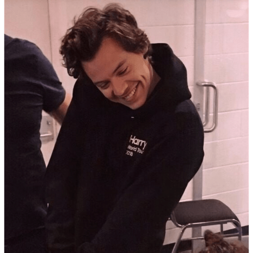 Harry styles 27