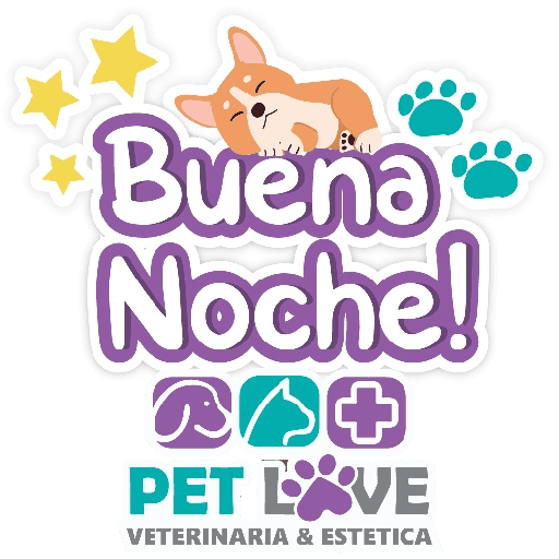 PET LOVE FRASES 14