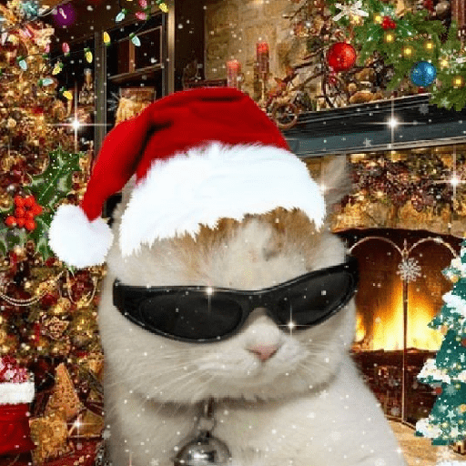 Natal & gatinhos ♥️ 8