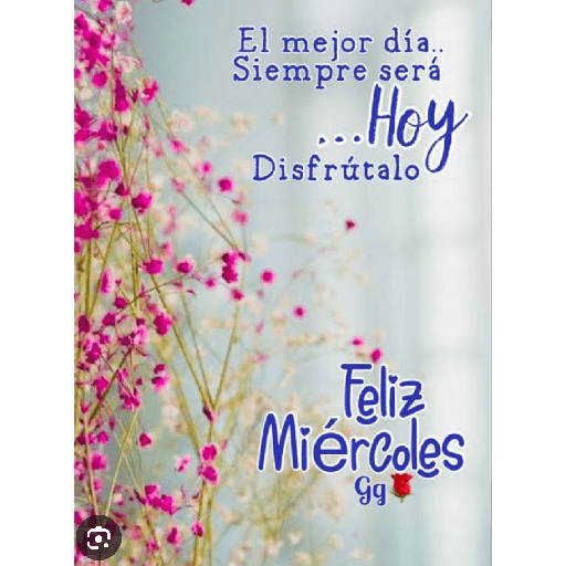 Feliz miercoles 28