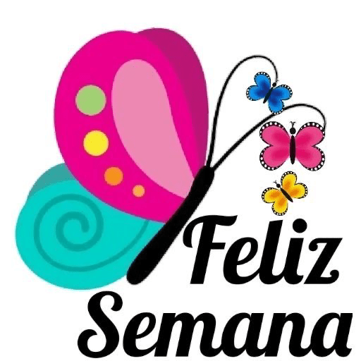 Lunes 20