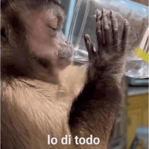 Monos 4