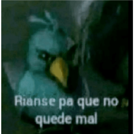 Momos Rancios 2