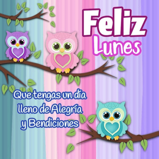 Lunes 6