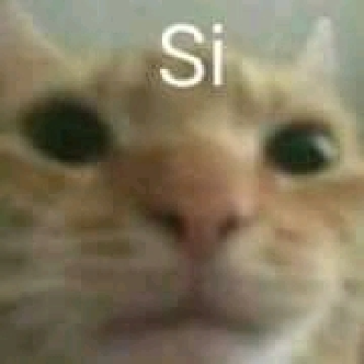 Stickers raros 9