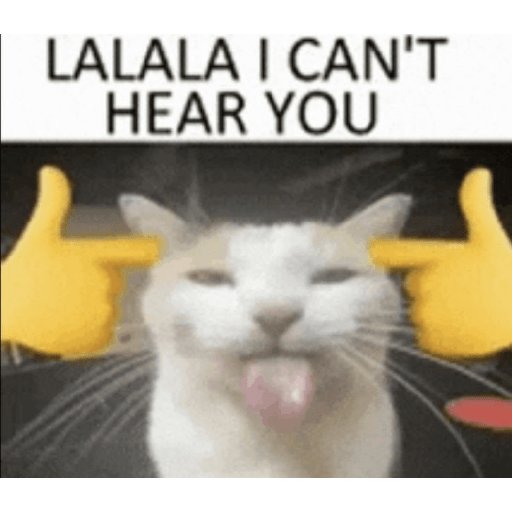 Kucing 16