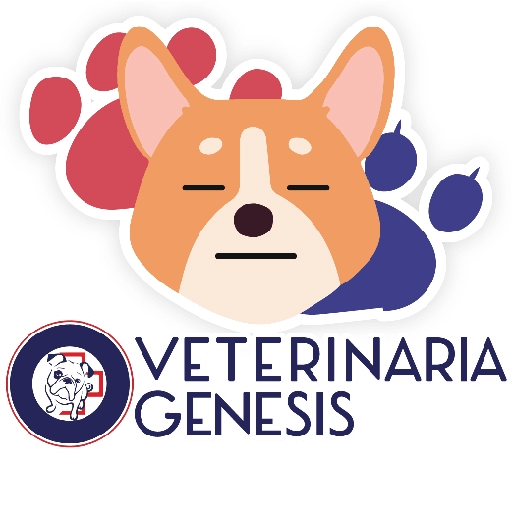 Vet Génesis emojis  5