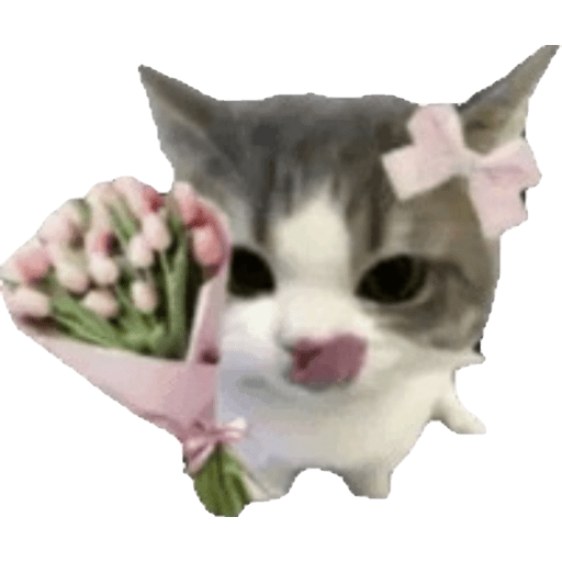 Mary.11 27