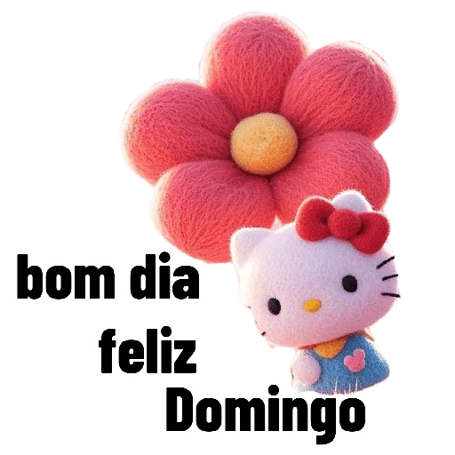 Hello kitty com  flores 🌹 16