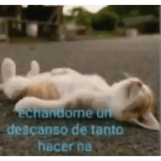 De los buenos☺️😂 7