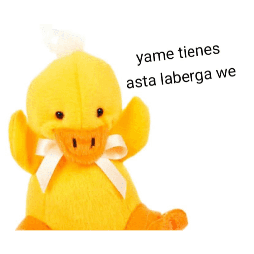 Xddddd 5