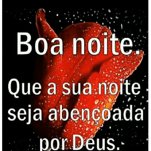 Boa noite 29 26