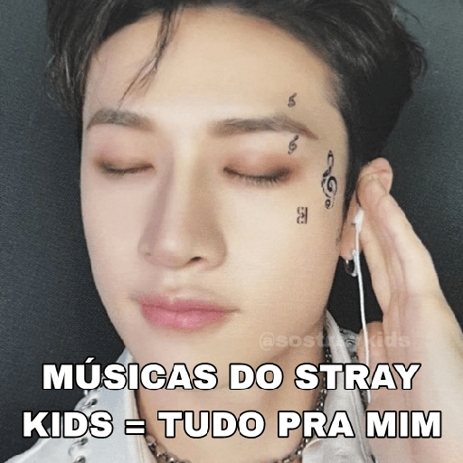 Só Stray Kids - Pack 10 13